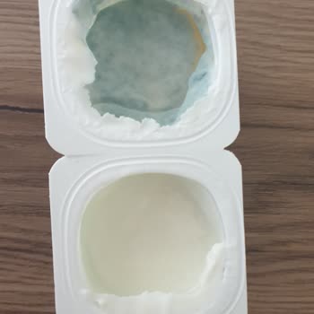 Tamamen Küflenmiş Activia Yoğurt