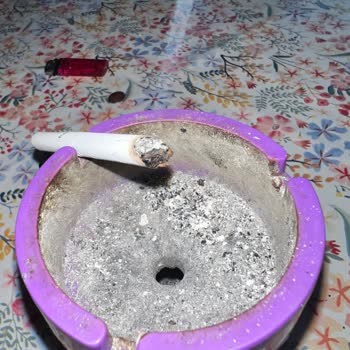 Parliament Sigardan Odun Çıkıyor