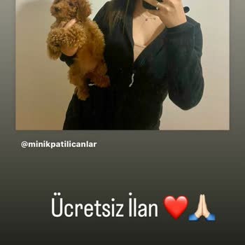 Minikpatilicanlar (Instagram) Ücretsiz Yavru Köpek Sahiplendirme Aldatmacası
