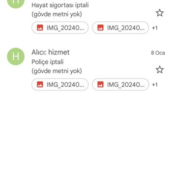 Anadolu Hayat Emeklilik Hayat Sigortası İptali