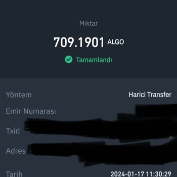 Coinlist Hesabımda Algorand Coinleri Görünmüyor