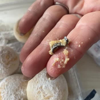 Nimet Gıda Elmalı Kurabiyede Yabancı Madde Bulunması