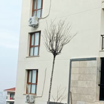 Baymak Klima Servis Sorunu