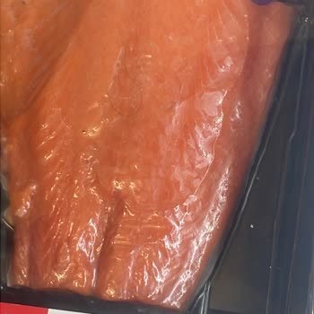 Dardanel Somondan Kıl Çıktı