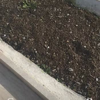 Azra Çiçekçilik Mezar Bakım Hizmetleri Sorun Yaşattı