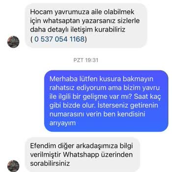Kopekvepatisahiplendirme (İnstagram) Ücretsiz Kedi Sahiplendirme