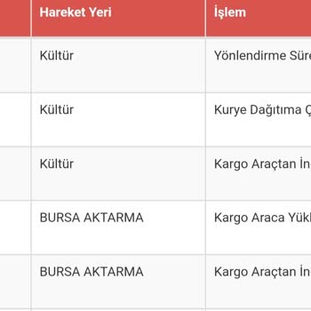 Sürat Kargo Kültür Surat Kapansın