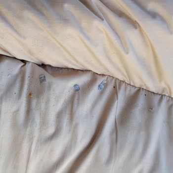 Armut Cam Balkon Ücreti Alınıp, Aylarca Teslim Edilmedi, Her Sorunu Yaşadık