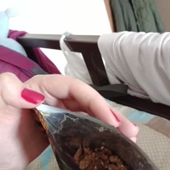 Çerezya Markalı Ceviz Ürününde Beklenmedik Misafir