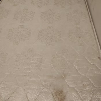 Diyanet İşleri Başkanlığı Umrede Diyanetin Oteli
