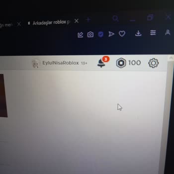 Robux Yüklenmeme Sorunu