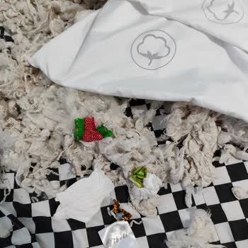 Libelle Marketten Alınan Pamuklu Yastıkta Hijyen Sorunu