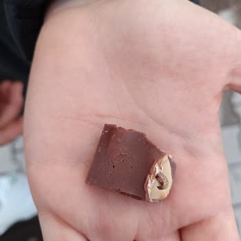 BİM Çikolata İçinden Kurt Çıktı