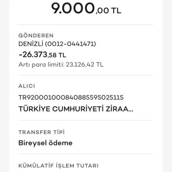 Paypay E Param Düşmüyor İade Talebi.
