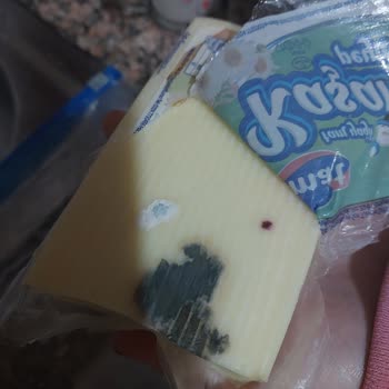 İtimat Süt İ***** Kaşar 0°c Buz Dolabında Hızlıca Küflendi