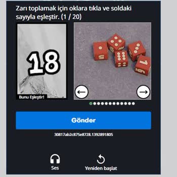 Blizzard Entertainment Tarafından Geliştirilen Giriş Sistemi Üzerine Şikayet