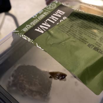 Harras Soğuk Baklava İçinden Kabuk Çıktı