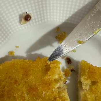 Lezita Piliç Schnitzel Kötü Görüntü