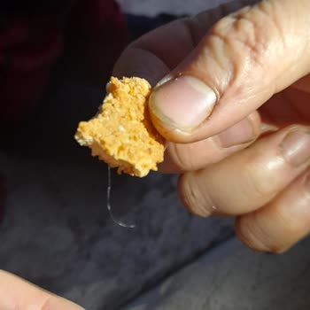 Eti Gıda Kurabiyeden Kıl Cıktı.