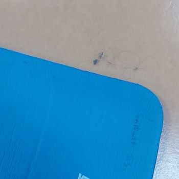 Selçuklu Belediyesi (Konya) Yeni Kent Spor Salonu