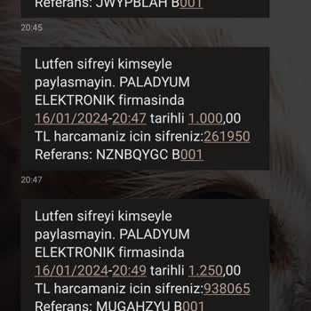 Enpara Oyun Yüzünden Hesap Güvenliği Tehlikede!