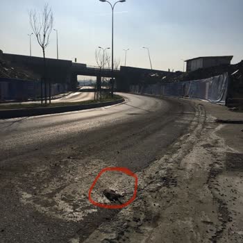 Başakşehir Belediyesi Başakşehir'de Fare Ölüleriyle Yaşıyoruz