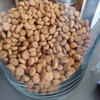 Kafkas Petshop Kuaför Kedi Mamasında Yanıltıcı Ürün Gönderimi!
