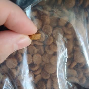 Kafkas Petshop Kuaför Kedi Mamasında Yanıltıcı Ürün Gönderimi!