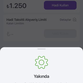 A101 101 Veresiye Limitini Kullanamıyorum