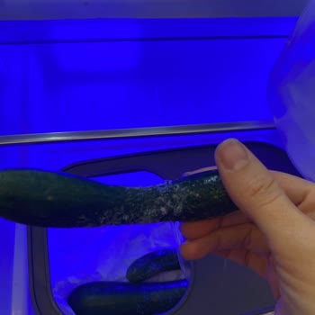 Arçelik Alanya Sugözü Yetkili Servis Arıza İçin Dönüş Yapmıyor