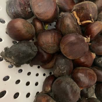 Migros Sanal Marketin Son Zamanlardaki Özensizliği
