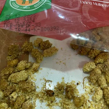 Tarım Kredi Market Markasından Böcek Çıktı