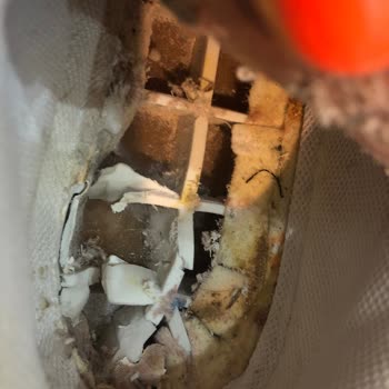 Derimod Ayakkabısının İç Tabanlığı Parçalandı