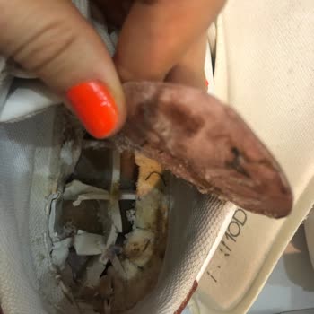 Derimod Ayakkabısının İç Tabanlığı Parçalandı