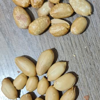 Başak Park Kuruyemiş Ne Olduğu Belirsiz Fıstık