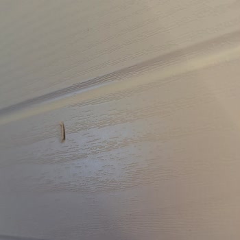 Evidea Mona Konsol Hasarlı Çıktı Kutudan, İletisim Kuramıyorum