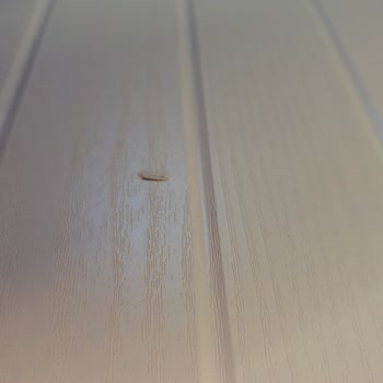 Evidea Mona Konsol Hasarlı Çıktı Kutudan, İletisim Kuramıyorum