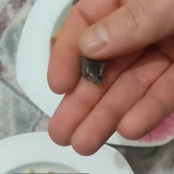 Makbul Kuruyemiş İçinden Taş Çıktı