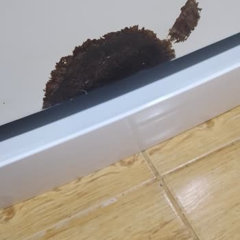 Arçelik Bulaşık Makinesi Program Sorunu