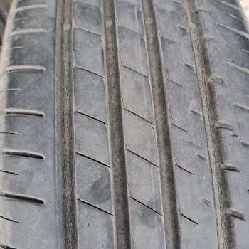 Lassa Hamur Gibi Lastik