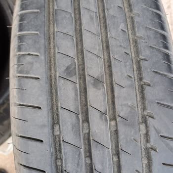 Lassa Hamur Gibi Lastik