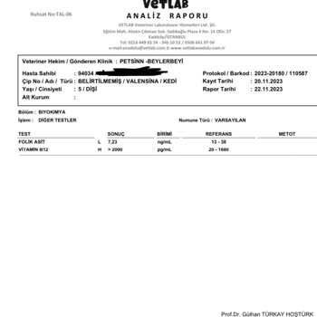 Pets Inn Veteriner Kliniği Yanlış Teşhis Yanlış Tedavi Kedim Öldürdüler