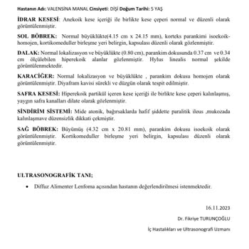 Pets Inn Veteriner Kliniği Yanlış Teşhis Yanlış Tedavi Kedim Öldürdüler