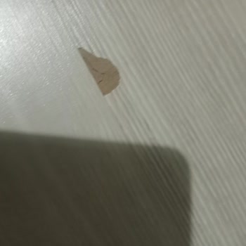 Varioclic Kalitesiz Parkeler Hayal Kırıklığı Yarattı