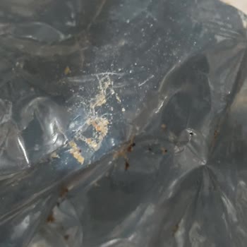 Amigo Karışık Kuruyemiş K