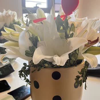 ÇiçekSepeti Çiçek Sepetinin Yarattığı Şok