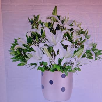 ÇiçekSepeti Çiçek Sepetinin Yarattığı Şok