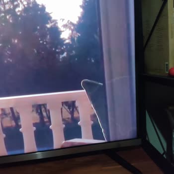 Vestel Oled 65 İnç Android Pişmanlığı