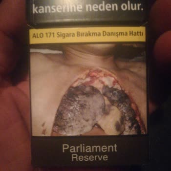 Philip Morris Tutun Yerine Dal Parçası Koymayın