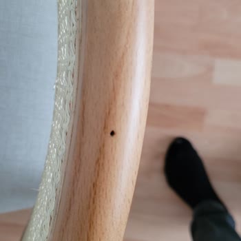 Metsan Aksesuar Masa & Sandalye Malı Batsın Canınızı Kurtarın